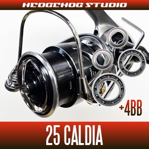 画像1: 【ダイワ】25カルディア FC LT1000S, FC LT2000S, FC LT2000S-H, FC LT2500S, FC LT2500S-H, LT2500, LT2500S, LT2500S-XH, LT3000S-CXH, LT3000, LT3000-XH, LT4000-C, LT4000-CXH, LT5000-C, LT5000-CXH用 MAX10BB フルベアリングチューニングキット