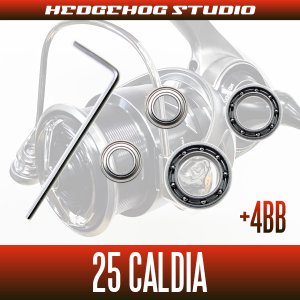 画像2: 【ダイワ】25カルディア FC LT1000S, FC LT2000S, FC LT2000S-H, FC LT2500S, FC LT2500S-H, LT2500, LT2500S, LT2500S-XH, LT3000S-CXH, LT3000, LT3000-XH, LT4000-C, LT4000-CXH, LT5000-C, LT5000-CXH用 MAX10BB フルベアリングチューニングキット