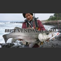 【Fishman/フィッシュマン】BRIST VENDAVAL 8.9M（ベンダバール）