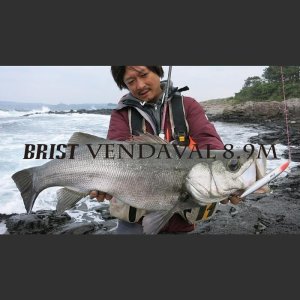 画像1: 【Fishman/フィッシュマン】BRIST VENDAVAL 8.9M（ベンダバール）