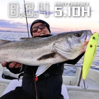 【Fishman/フィッシュマン】BC4 5.10H