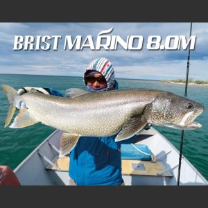 画像1: 【Fishman/フィッシュマン】BRIST MARINO 8.0M（マリノ）