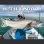 画像1: 【Fishman/フィッシュマン】BRIST MARINO 8.0M（マリノ） (1)
