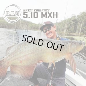 画像1: 【Fishman/フィッシュマン】BC4 5.10MXH(生産終了)