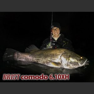 画像1: 【Fishman/フィッシュマン】BRIST comodo 6.10XH
