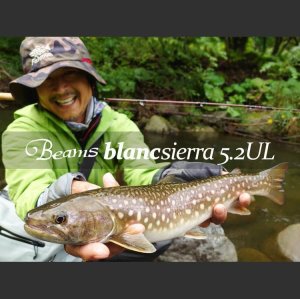 画像1: 【Fishman/フィッシュマン】Beams blancsierra 5.2UL（ブランシエラ）