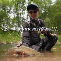 【Fishman/フィッシュマン】Beams blancsierra 4.8UL（ビームス ブランシエラ）