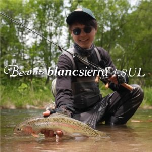 画像1: 【Fishman/フィッシュマン】Beams blancsierra 4.8UL（ビームス ブランシエラ）
