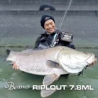【Fishman/フィッシュマン】Beams RIPLOUT 7.8ML（リプラウト）