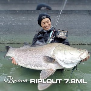 画像1: 【Fishman/フィッシュマン】Beams RIPLOUT 7.8ML（リプラウト）