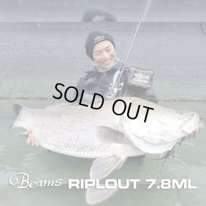 画像1: 【Fishman/フィッシュマン】Beams RIPLOUT 7.8ML(リプラウト)(生産終了)
