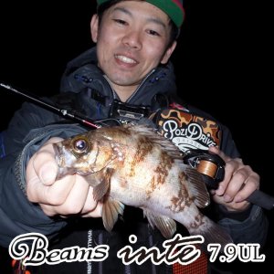 画像1: 【Fishman/フィッシュマン】Beams inte 7.9UL（インテ）