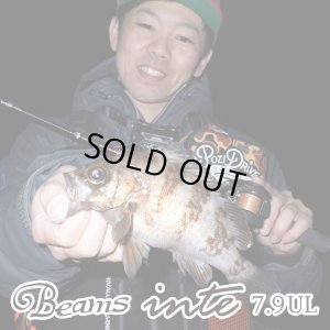 画像1: 【Fishman/フィッシュマン】Beams inte 7.9UL（インテ）