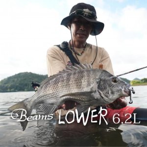 画像1: 【Fishman/フィッシュマン】Beams LOWER 6.2L（ビームス ローワー）