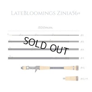 画像1: 【TRANSCENDENCE/トランスセンデンス】LateBloomings Zinia56+（LB56 レイトブルーミングス ジニア）