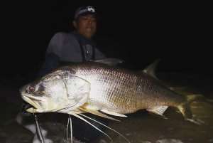 画像11: 【TRANSCENDENCE/トランスセンデンス】Laulau8.3GT-S Rev3.0 /ラウラウスピニング