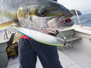 画像13: 【TRANSCENDENCE/トランスセンデンス】Laulau8.3GT-S Rev3.0 /ラウラウスピニング