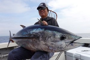 画像3: 【TRANSCENDENCE/トランスセンデンス】Laulau8.3GT-S Rev3.0 /ラウラウスピニング