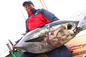 画像6: 【TRANSCENDENCE/トランスセンデンス】Laulau8.3GT-S Rev3.0 /ラウラウスピニング