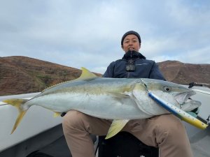 画像4: 【TRANSCENDENCE/トランスセンデンス】Foehn 88S / フェーン 88S