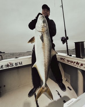 画像8: 【TRANSCENDENCE/トランスセンデンス】Foehn 88S / フェーン 88S