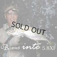【Fishman/フィッシュマン】Beams inte 5.8XF（ビームス インテ）