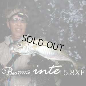 画像1: 【Fishman/フィッシュマン】Beams inte 5.8XF（ビームス インテ）