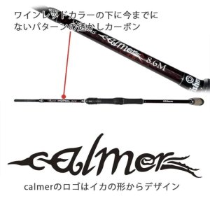 画像4: 【Fishman/フィッシュマン】Beams calmer 8.6M（ビームス カルマー）