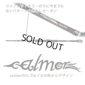 画像4: 【Fishman/フィッシュマン】Beams calmer 8.6M（ビームス カルマー）
