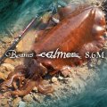 【Fishman/フィッシュマン】Beams calmer 8.6M（ビームス カルマー）
