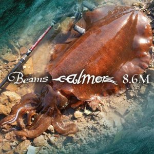 画像1: 【Fishman/フィッシュマン】Beams calmer 8.6M（ビームス カルマー）