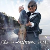 【Fishman/フィッシュマン】Beams calmer 8.0ML（ビームス カルマー）