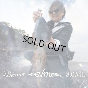画像1: 【Fishman/フィッシュマン】Beams calmer 8.0ML（ビームス カルマー）