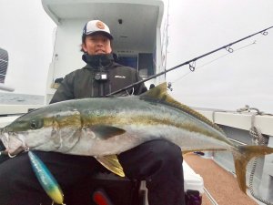 画像4: 【TRANSCENDENCE/トランスセンデンス】Khareef X8｜カリーフ X8