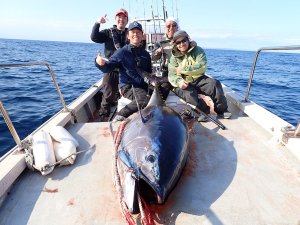 画像6: 【TRANSCENDENCE/トランスセンデンス】Khareef X8｜カリーフ X8