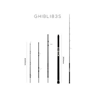 画像1: 【TRANSCENDENCE/トランスセンデンス】Ghibli83S / ギブリ83S