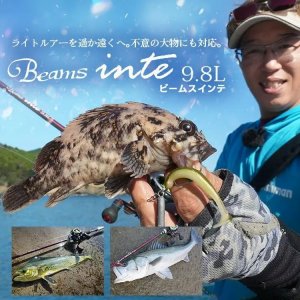 画像1: 【Fishman/フィッシュマン】Beams inte 9.8L（インテ）