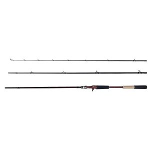 画像2: 【Fishman/フィッシュマン】Beams inte 9.8L（インテ）