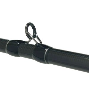 画像3: 【Fishman/フィッシュマン】Beams inte 9.8L（インテ）
