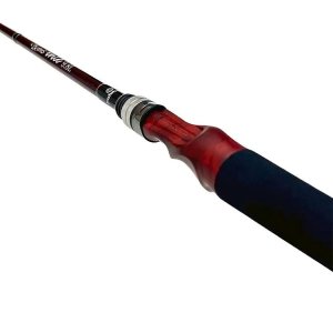 画像4: 【Fishman/フィッシュマン】Beams inte 9.8L（インテ）