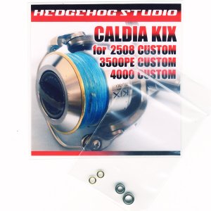 画像1: カルディアKIX 2508 カスタム用 MAX8BB フルベアリングチューニングキット