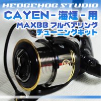 CAYEN 海煙 256用 MAX12BB フルベアリングチューニングキット