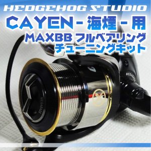 画像1: CAYEN 海煙 256用 MAX12BB フルベアリングチューニングキット