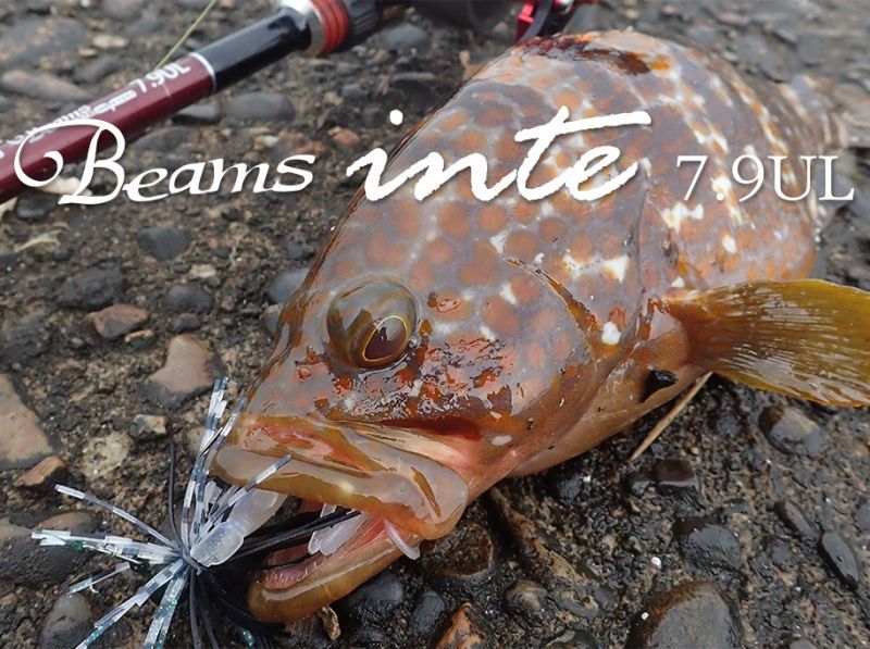 Fishman/フィッシュマン】Beams inte 7.9UL - リールチューニング