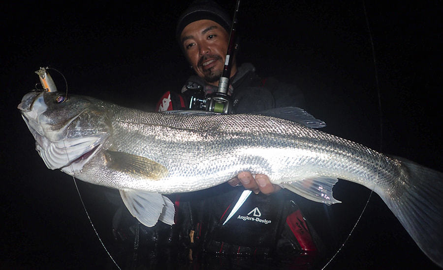 Fishman/フィッシュマン】Beams CRAWLA 6.6L+(ビームス クローラ