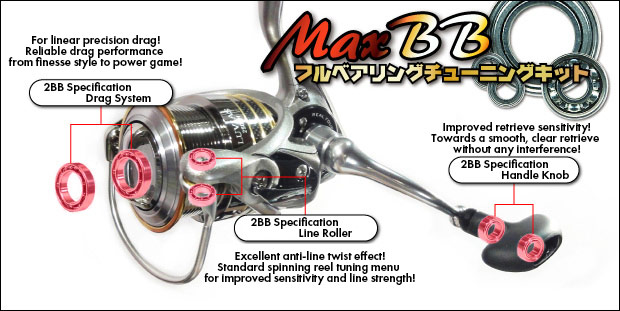 bearing upgrade kit