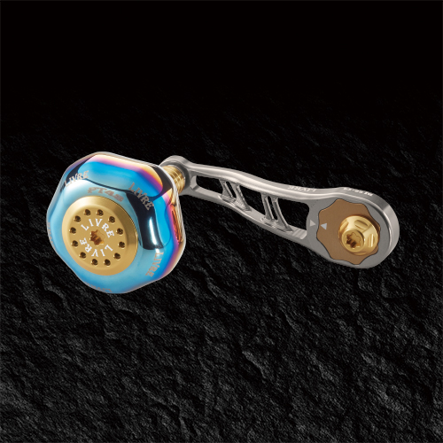 LIVRE BJ 66-74 PT in Titanium/Gold