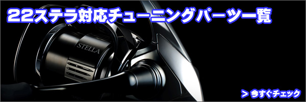 22ステラ