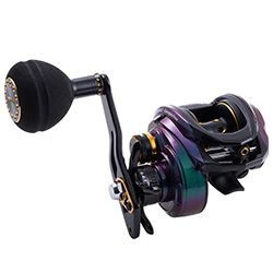 SALTY STAGE CONCEPT-FREE