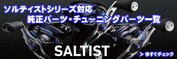 ダイワ純正お取り寄せパーツ：納期1ヶ月】23ソルティスト TW 100 PE